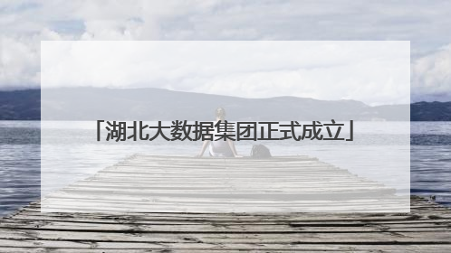 湖北大数据集团正式成立