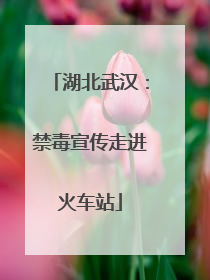 湖北武汉：禁毒宣传走进火车站