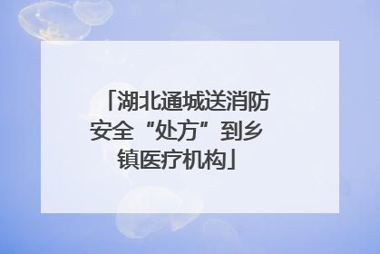 湖北通城送消防安全“处方”到乡镇医疗机构