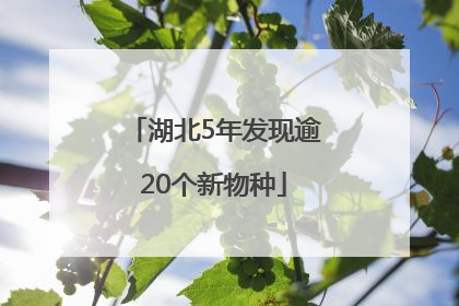 湖北5年发现逾20个新物种