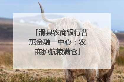 滑县农商银行普惠金融一中心：农商护航粮满仓