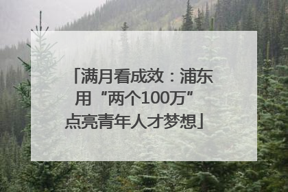满月看成效：浦东用“两个100万”点亮青年人才梦想