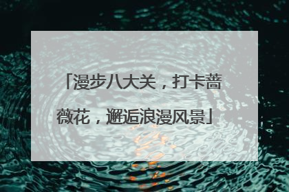 漫步八大关，打卡蔷薇花，邂逅浪漫风景