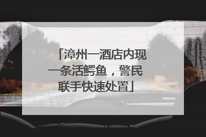 漳州一酒店内现一条活鳄鱼，警民联手快速处置