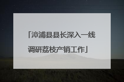漳浦县县长深入一线调研荔枝产销工作