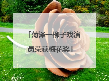 菏泽一柳子戏演员荣获梅花奖