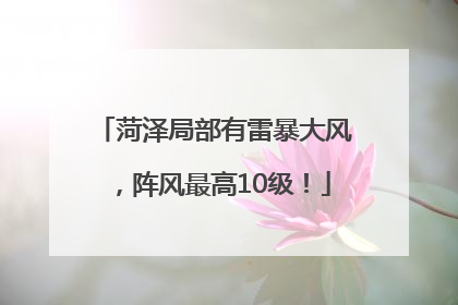 菏泽局部有雷暴大风，阵风最高10级！