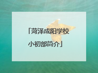 菏泽成阳学校小初部简介