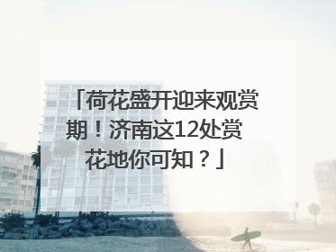 荷花盛开迎来观赏期！济南这12处赏花地你可知？