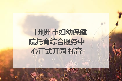 荆州市妇幼保健院托育综合服务中心正式开园 托育宣传月同步启动