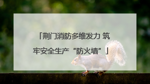 荆门消防多维发力 筑牢安全生产“防火墙”