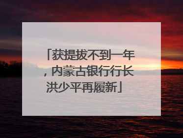 获提拔不到一年，内蒙古银行行长洪少平再履新