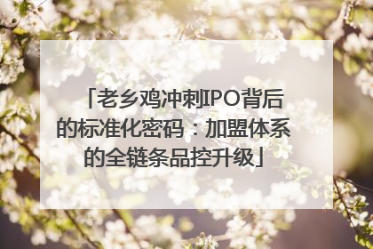 老乡鸡冲刺IPO背后的标准化密码：加盟体系的全链条品控升级