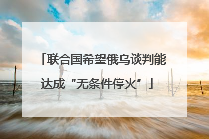联合国希望俄乌谈判能达成“无条件停火”
