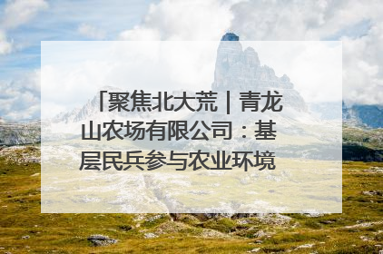 聚焦北大荒｜青龙山农场有限公司：基层民兵参与农业环境综合治理显效