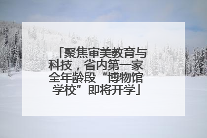 聚焦审美教育与科技，省内第一家全年龄段“博物馆学校”即将开学