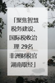 聚焦智慧税务建设、国际税收治理 29名非洲财税官湖南取经