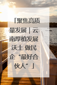 聚焦高质量发展｜云南厚植发展沃土 做民企“最好合伙人”
