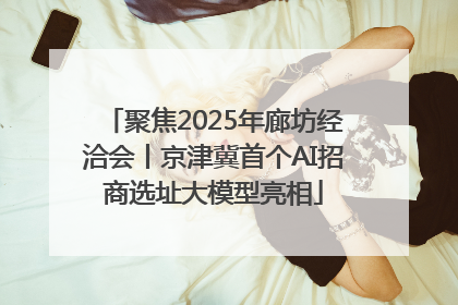 聚焦2025年廊坊经洽会丨京津冀首个AI招商选址大模型亮相