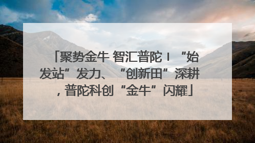 聚势金牛 智汇普陀〡“始发站”发力、“创新田”深耕，普陀科创“金牛”闪耀