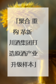 聚合 重构 革新 川酒集团打造原酒产业升级样本