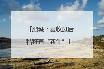肥城：麦收过后秸秆有“新生”