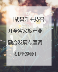 胡昌升主持召开全省文旅产业融合发展专题调研座谈会