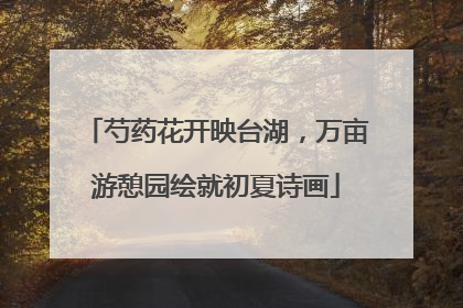 芍药花开映台湖，万亩游憩园绘就初夏诗画