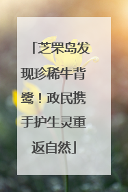 芝罘岛发现珍稀牛背鹭！政民携手护生灵重返自然