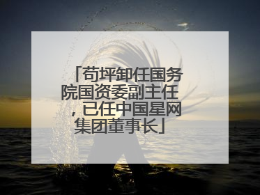 苟坪卸任国务院国资委副主任，已任中国星网集团董事长