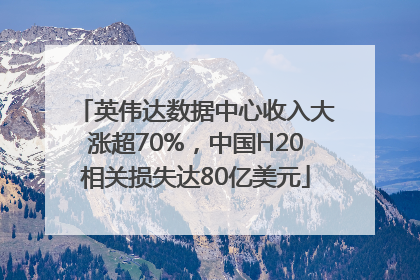 英伟达数据中心收入大涨超70%，中国H20相关损失达80亿美元