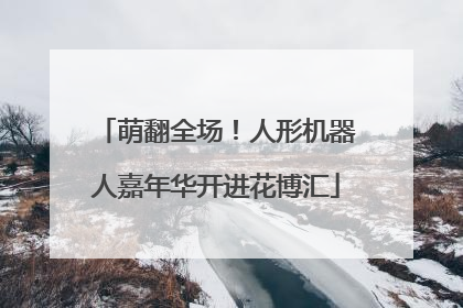 萌翻全场！人形机器人嘉年华开进花博汇