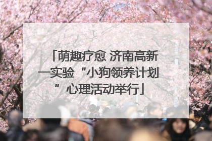 萌趣疗愈 济南高新一实验“小狗领养计划”心理活动举行