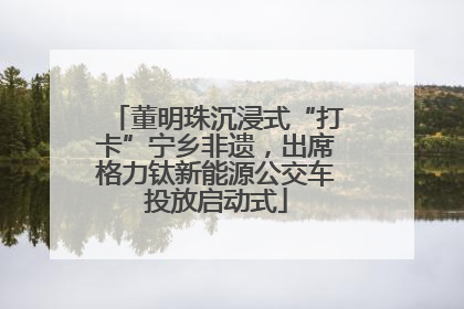 董明珠沉浸式“打卡”宁乡非遗，出席格力钛新能源公交车投放启动式