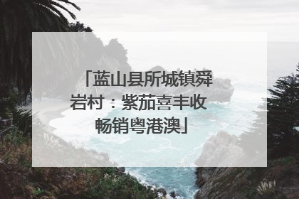 蓝山县所城镇舜岩村：紫茄喜丰收 畅销粤港澳