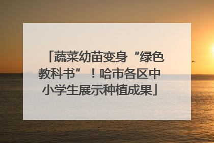 蔬菜幼苗变身“绿色教科书”！哈市各区中小学生展示种植成果