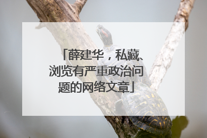 薛建华，私藏、浏览有严重政治问题的网络文章