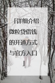 详细介绍微粒贷借钱的开通方式与官方入口