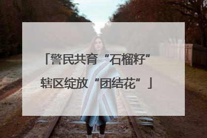 警民共育“石榴籽” 辖区绽放“团结花”