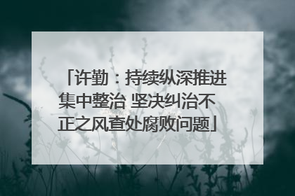 许勤：持续纵深推进集中整治 坚决纠治不正之风查处腐败问题