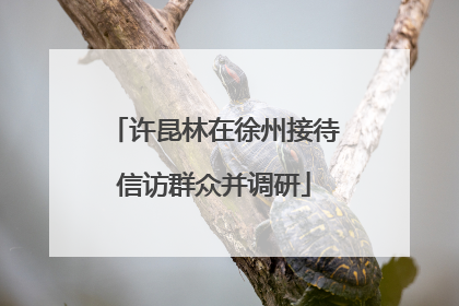 许昆林在徐州接待信访群众并调研