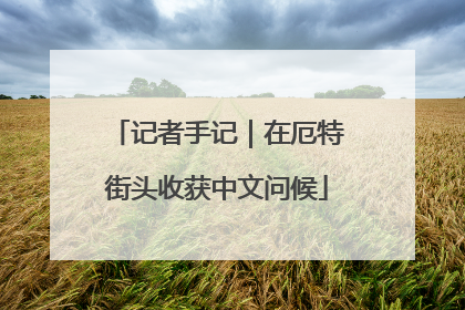 记者手记｜在厄特街头收获中文问候