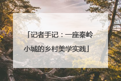 记者手记：一座秦岭小城的乡村美学实践