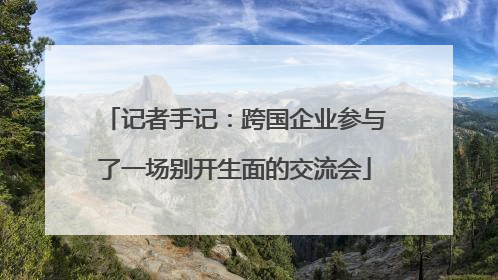 记者手记：跨国企业参与了一场别开生面的交流会