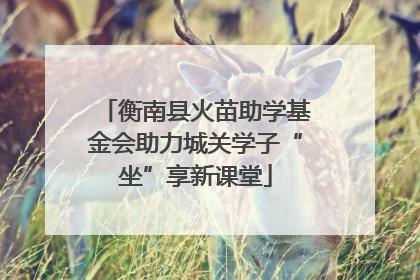 衡南县火苗助学基金会助力城关学子“坐”享新课堂