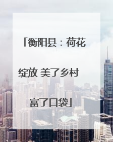 衡阳县：荷花绽放 美了乡村 富了口袋