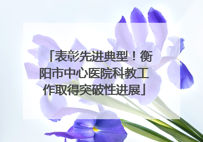 表彰先进典型！衡阳市中心医院科教工作取得突破性进展