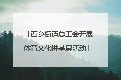 西乡街道总工会开展体育文化进基层活动