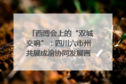西博会上的“双城交响”：四川六市州共展成渝协同发展画卷｜西博视界