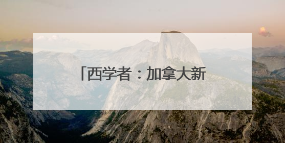 西学者：加拿大新政带给欧洲的启示